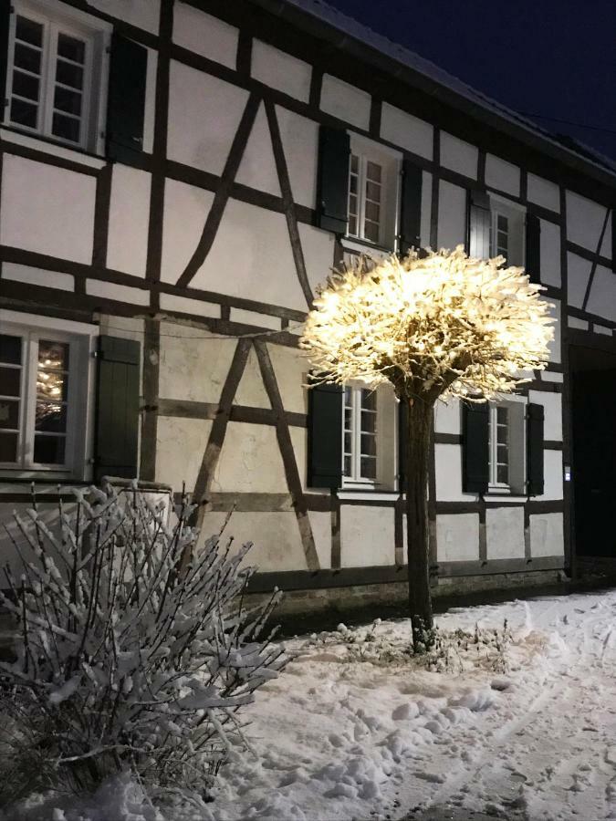 Sonnige Fachwerkwohnung Alfter Zewnętrze zdjęcie